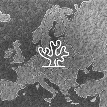 3D Moss Maps