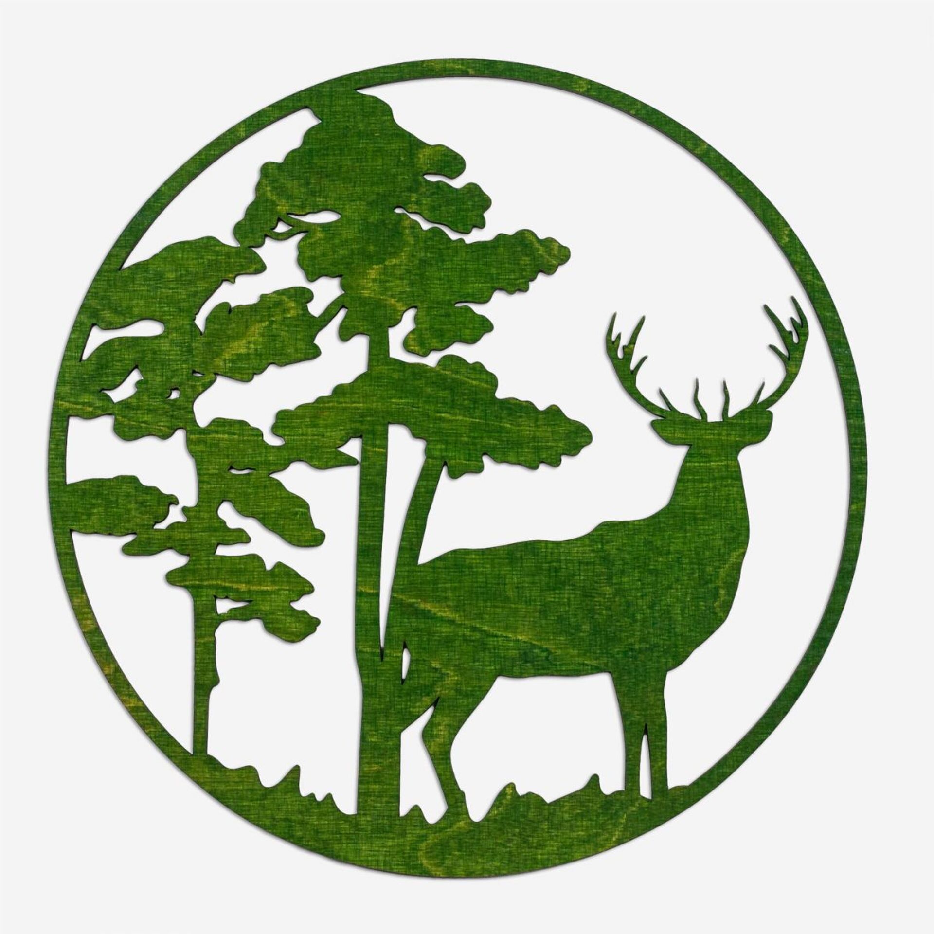 Deer in the forest